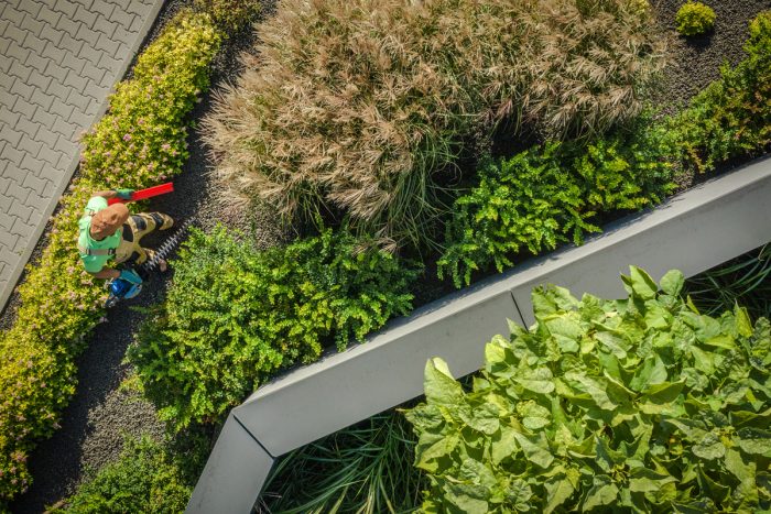 Xeriscaping Costs 2021 Xeriscaping Costs 2021