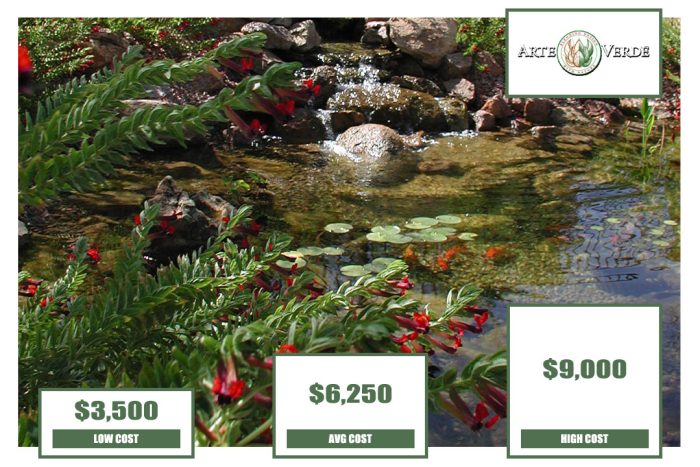 Backyard Pond Installation Cost 2022