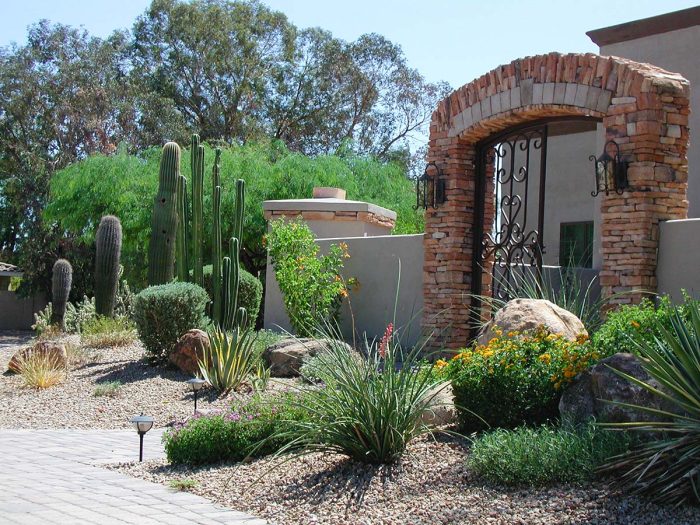 Arizona Landscaping Ideas Arizona Landscaping Ideas