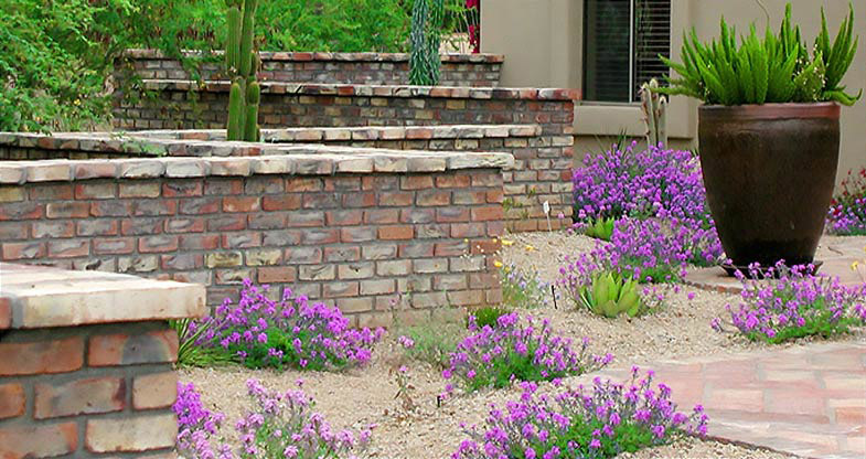 xeriscape-landscaping-in-arizona-image-001