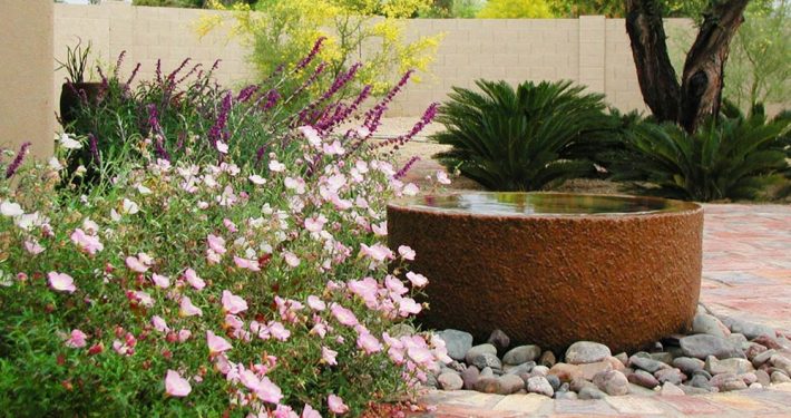 xeriscape-landscaping-in-arizona-image-003