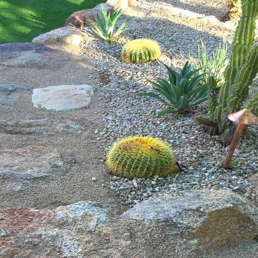 xeriscape-landscaping-in-arizona-image-004