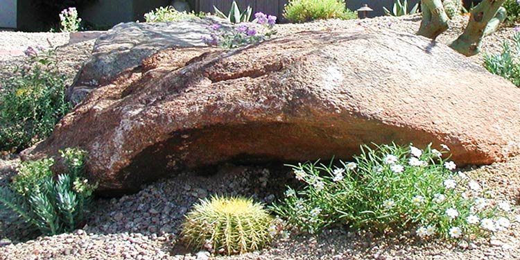 xeriscape-landscaping-in-arizona-image-005