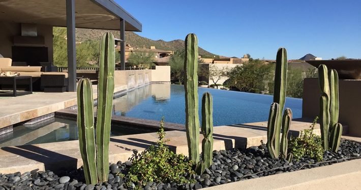 xeriscape-landscaping-in-arizona-image-006