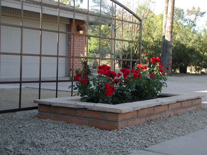 xeriscape-landscaping-in-arizona-image-008