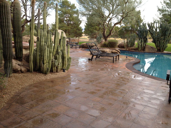 xeriscape-landscaping-in-arizona-image-009