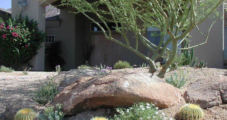 xeriscape-landscaping-in-arizona-image-011