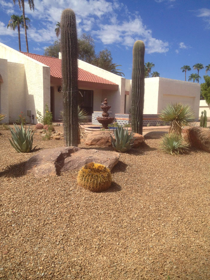 xeriscape-landscaping-in-arizona-image-016