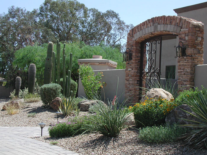 xeriscape-landscaping-in-arizona-image-018