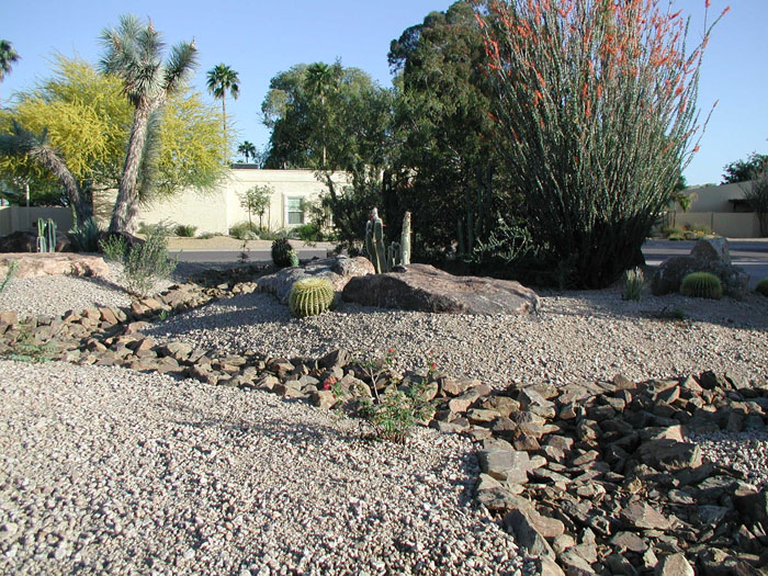 xeriscape-landscaping-in-arizona-image-019