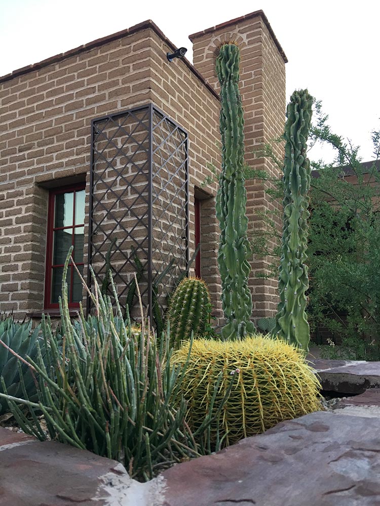 xeriscape-phoenix-landscapers-arte-verde-landscaping