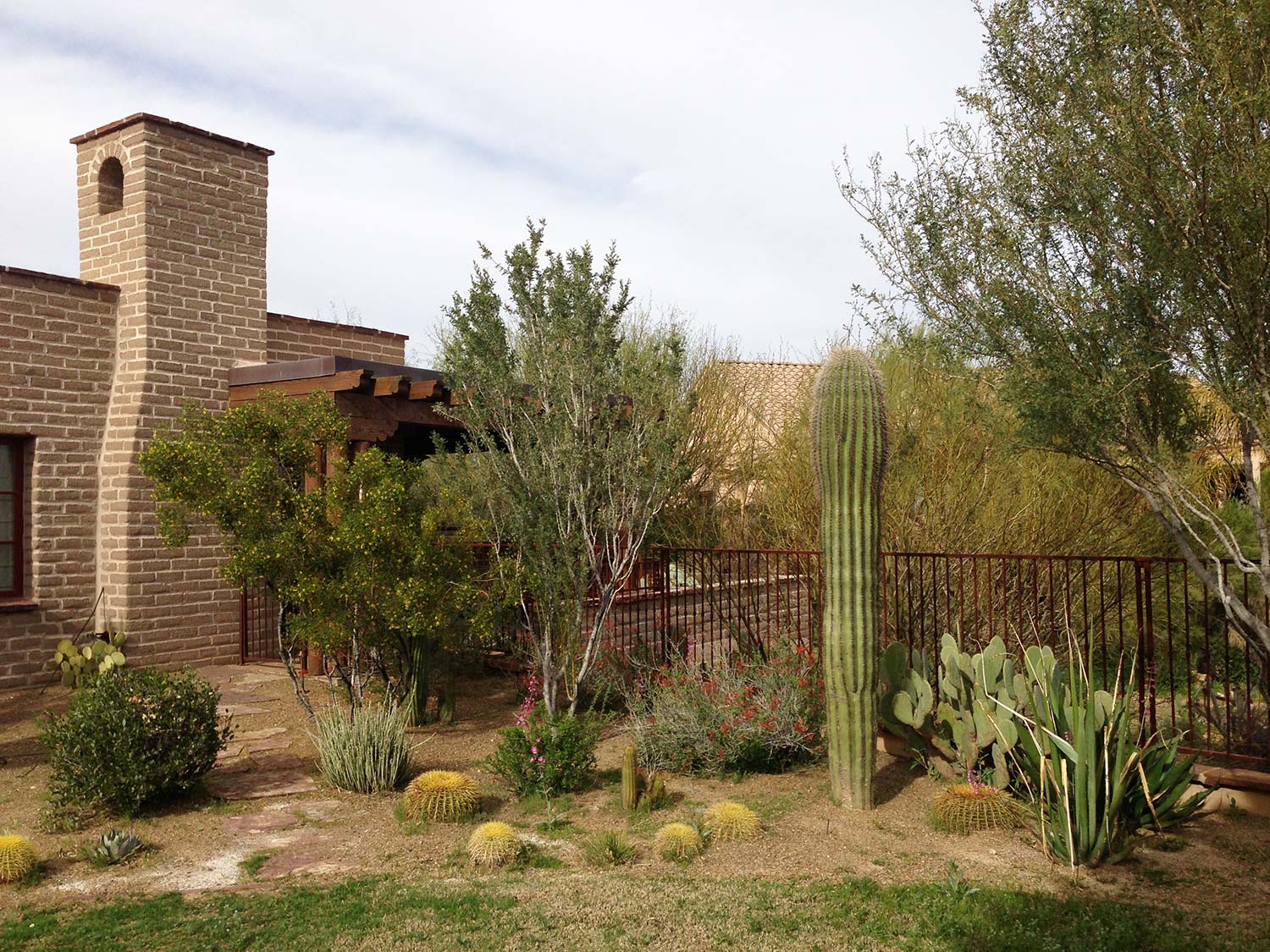 xeriscape-landscaping-in-arizona-image-021