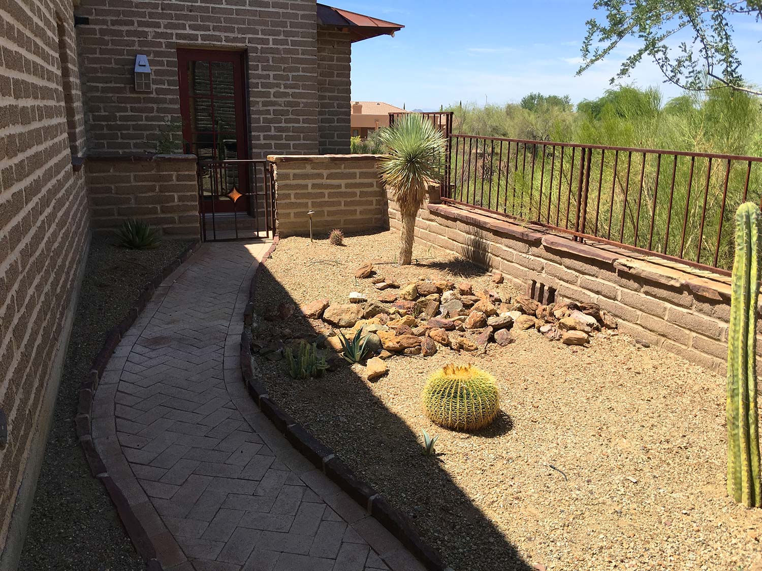 xeriscape-landscaping-in-arizona-image-022