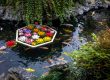 Koi Pond Cost