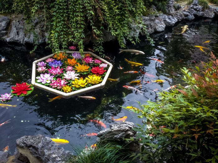 Koi Pond Cost Koi Pond Cost