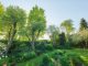 How To Kill A Tree Without Cutting It Down