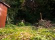 Is Landscaping Covered By Homeowners Insurance