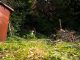 Is Landscaping Covered By Homeowners Insurance