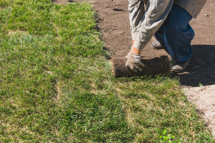 How To Prepare Ground For Artificial Turf How To Prepare Ground For Artificial Turf