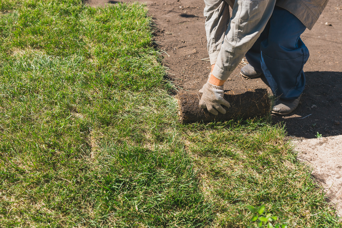 How To Prepare Ground For Artificial Turf How To Prepare Ground For Artificial Turf